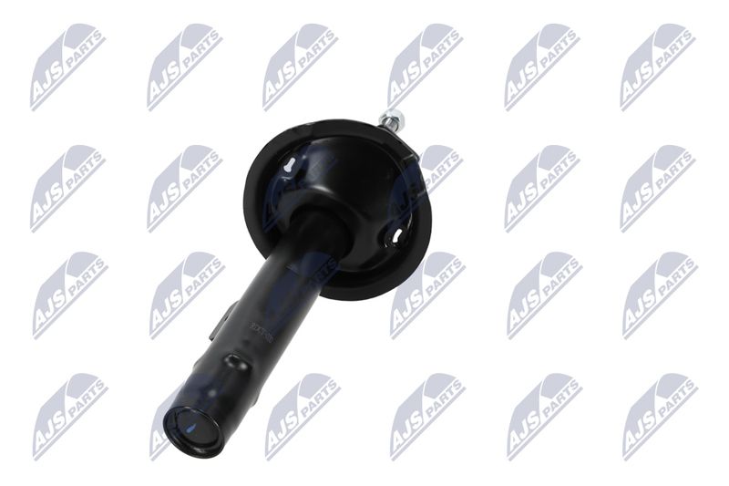 Amort, NTY A-CT-020