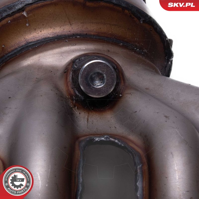 ESEN SKV 62SKV017 Catalytic Converter, universal