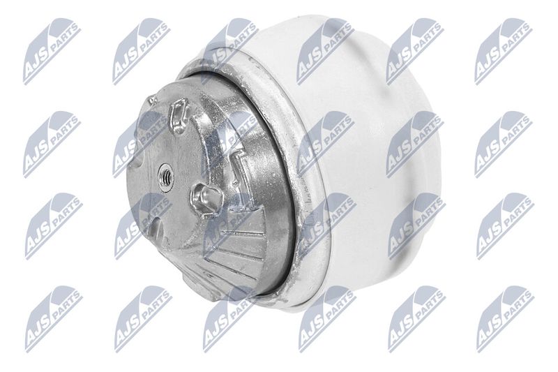 Paigutus, Mootor, NTY ZPS-ME-099