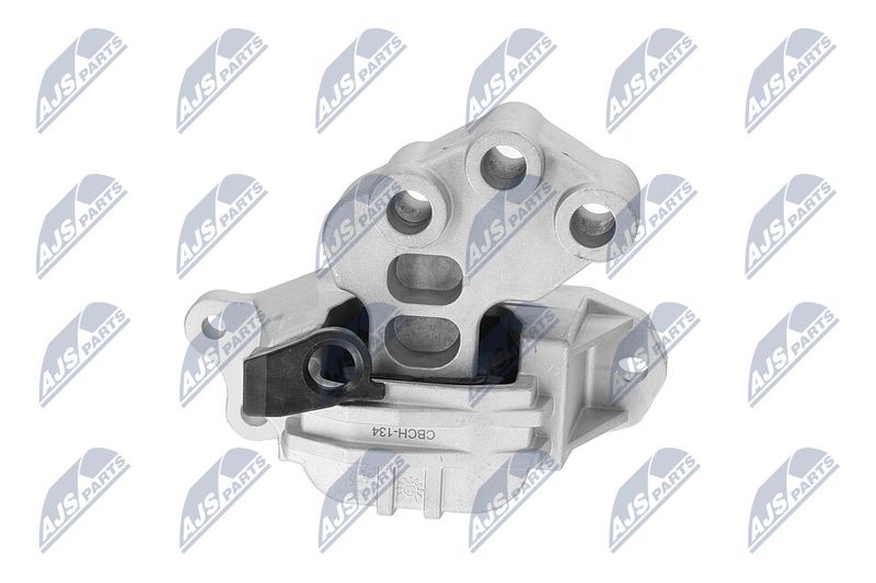 Paigutus, Mootor, NTY ZPS-CH-134