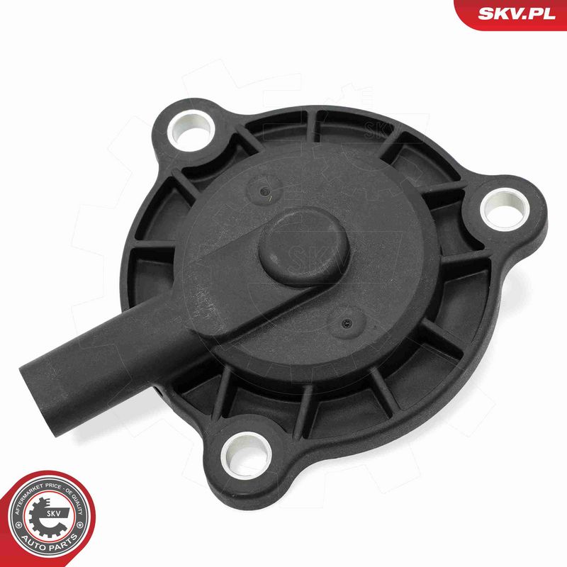 ESEN SKV 39SKV910 Control Valve, camshaft adjustment