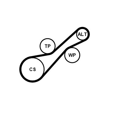 KEILRIPPENRIEMENSATZ CONTINENTAL CTAM 6PK1205K2