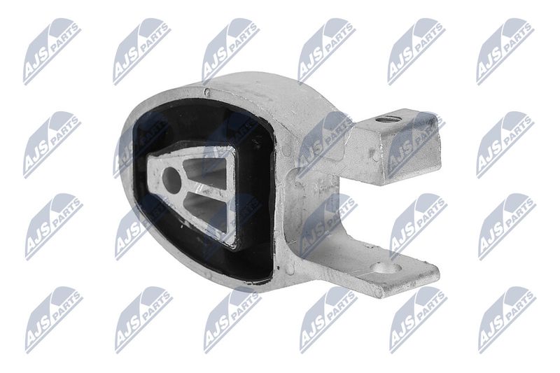 Paigutus, Mootor, NTY ZPS-FR-010