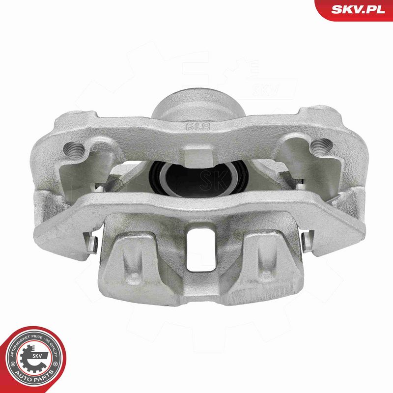 ESEN SKV 79SKV191 Brake Caliper