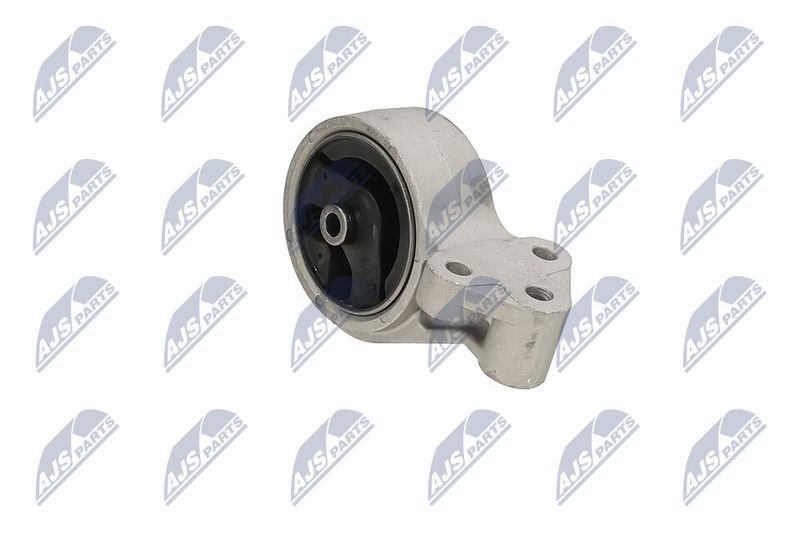 Paigutus, Mootor, NTY ZPS-MS-016