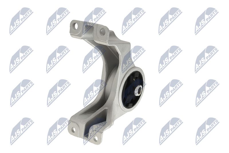 Paigutus, Mootor, NTY ZPS-CH-105