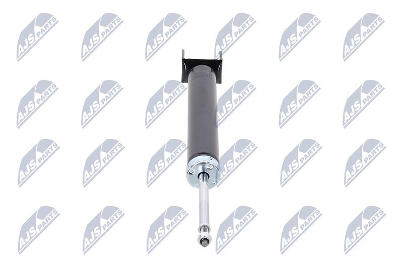 Amort, NTY A-CH-078