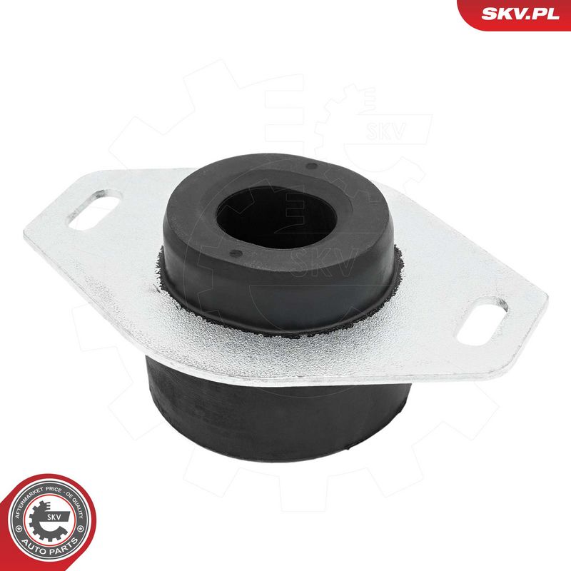 Paigutus, Mootor, ESEN SKV 75SKV221