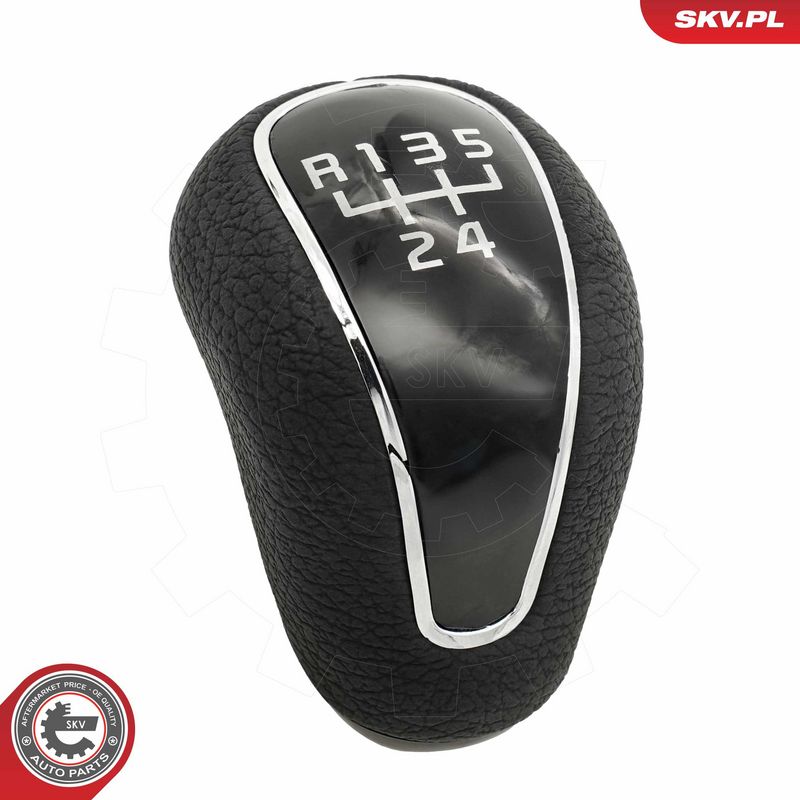 Käigukanginupp, ESEN SKV...