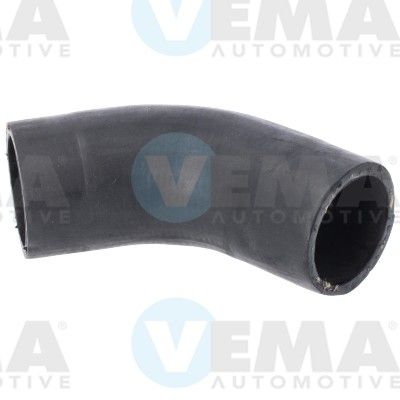 VE55741.JPG