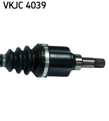 VKJC 4039_3.JPG