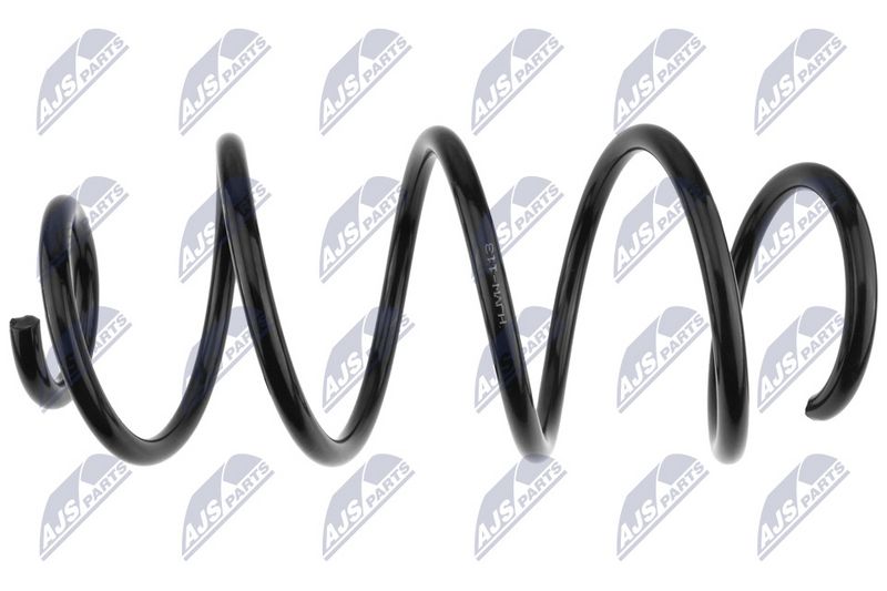 NTY ASZ-VW-113 Suspension Spring