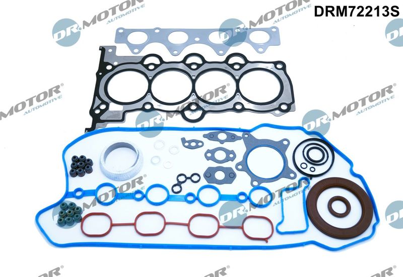 Повний комплект ущільнень, двигун, Dr.Motor DRM72213S