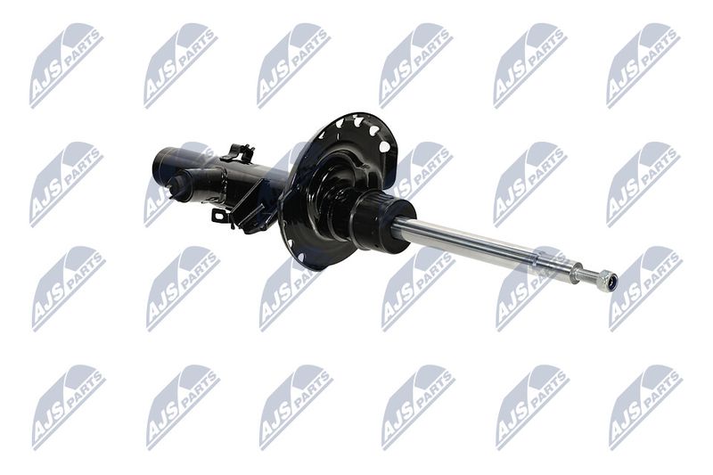 Amort, NTY A-LR-033