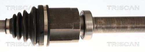 854027590_3.JPG
