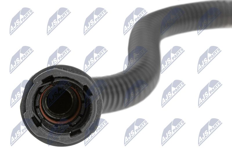 BPP-CT-029_4-WM.JPG