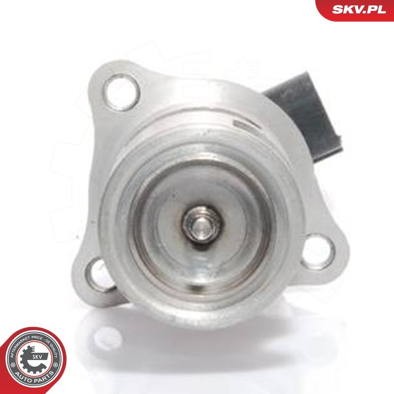 EGR-klapp, ESEN SKV 14SKV021