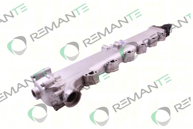 REMANTE 010-001-000006R EGR Module