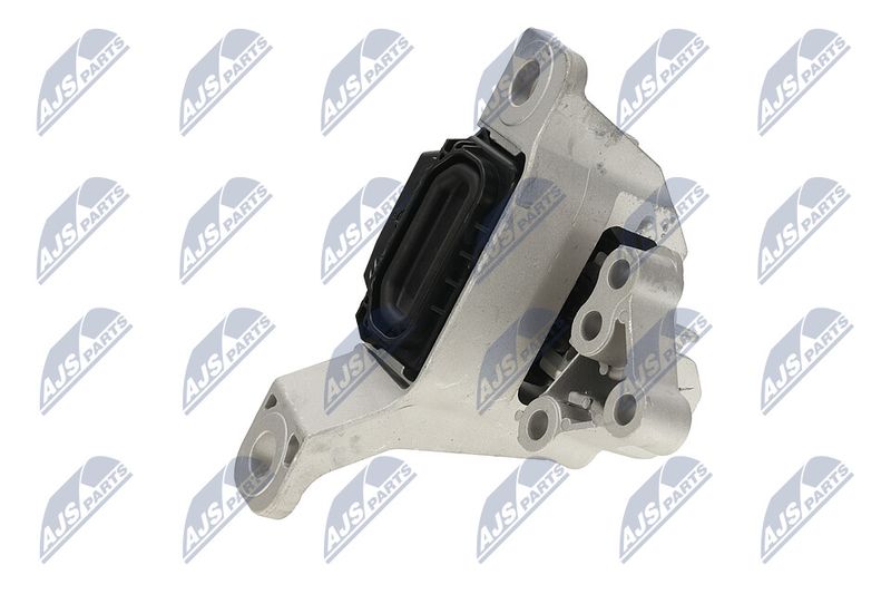 Paigutus, Mootor, NTY ZPS-FR-069