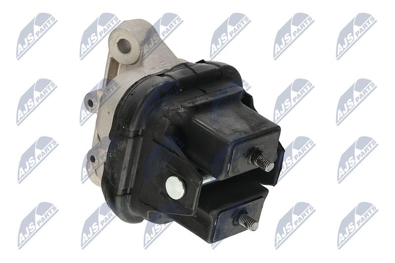 Paigutus, Mootor, NTY ZPS-CH-019