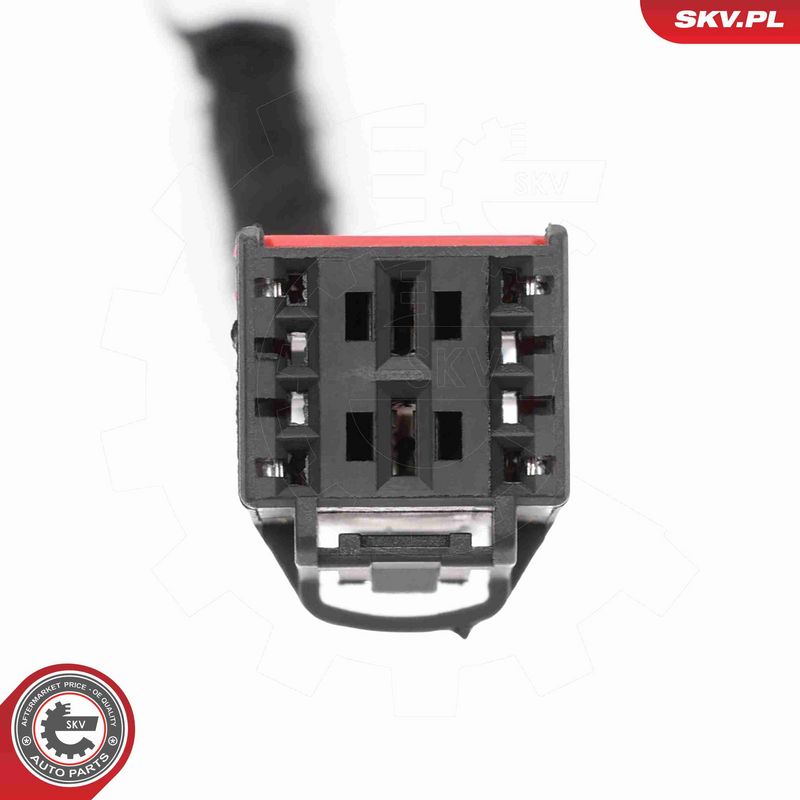 ESEN SKV 52SKV197 Electric Motor, tailgate
