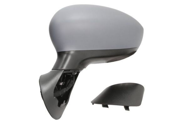 BLIC 5402-04-1139933P Exterior Mirror
