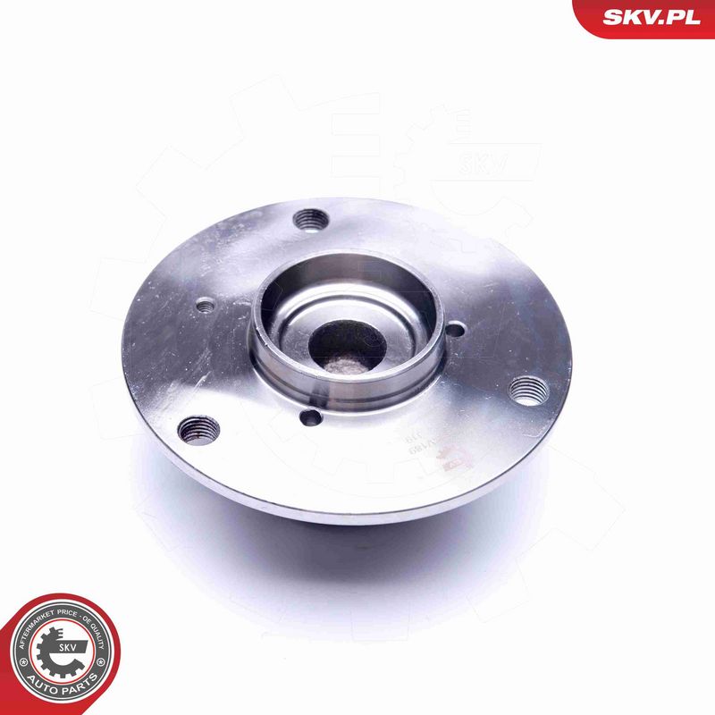 ESEN SKV 29SKV189 Wheel Bearing Kit