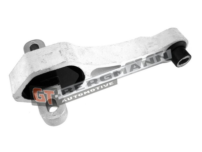 GT-BERGMANN Automotive Variklio montavimas
