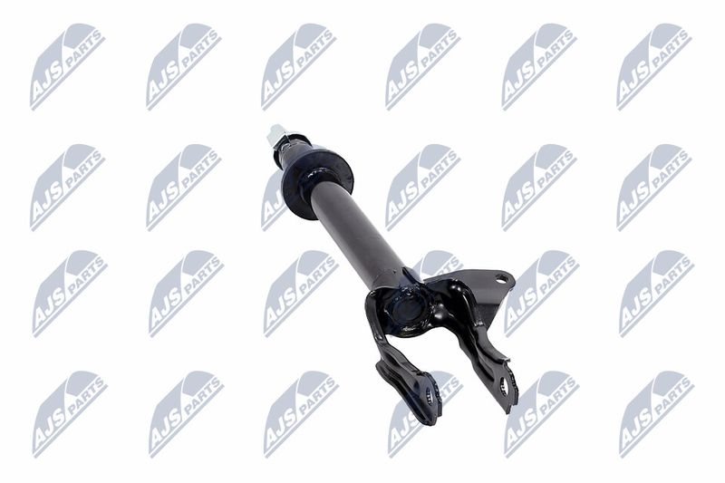 Amort, NTY A-CH-082