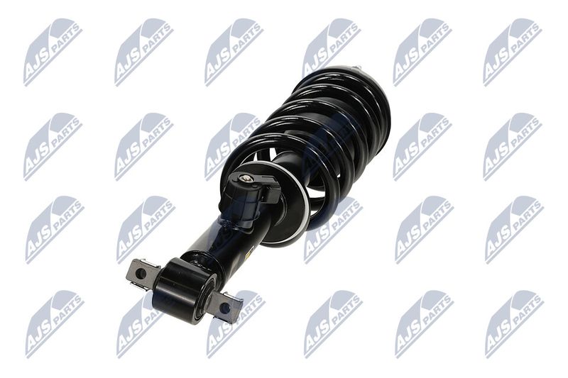 Amort, NTY A-CH-127