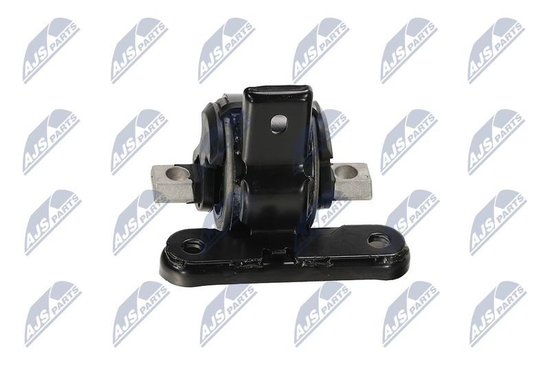 Paigutus, Mootor, NTY ZPS-CH-136