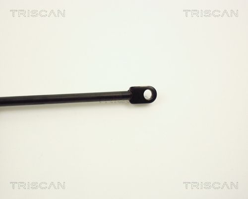 TRIS8710389_3.JPG