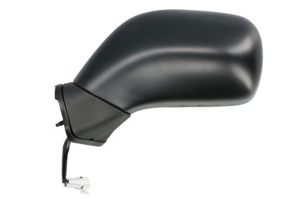 BLIC 5402-04-038361P Exterior Mirror