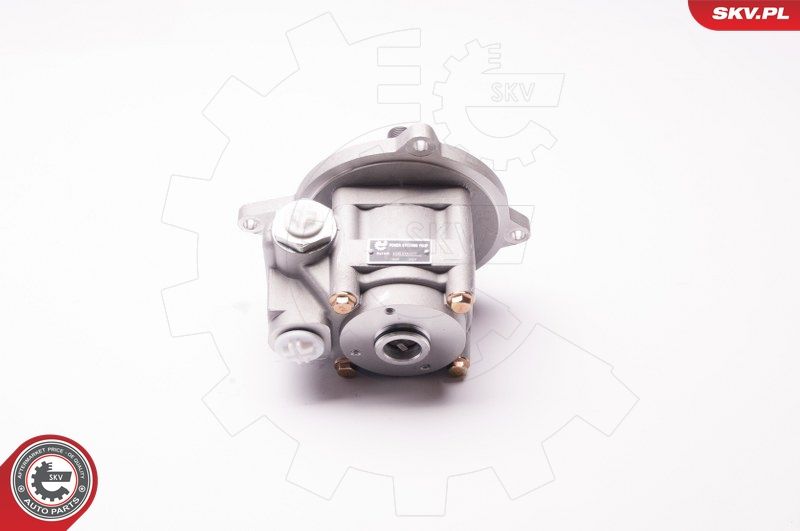 ESEN SKV 1SKV0007 Hydraulic Pump, steering