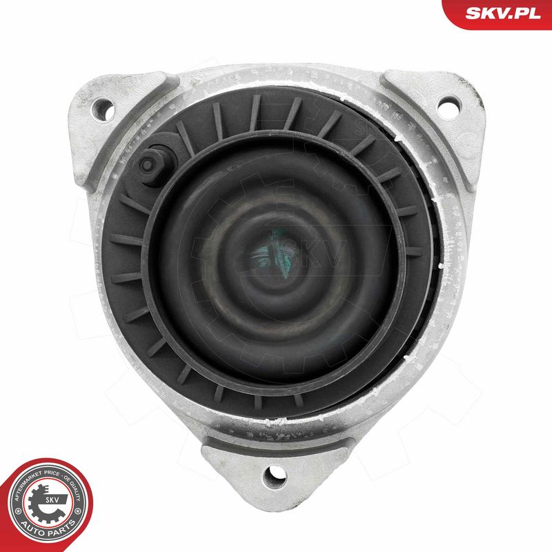 Paigutus, Mootor, ESEN SKV 75SKV131