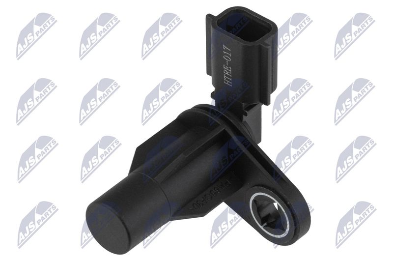ECP-RE-017_1-WM.JPG