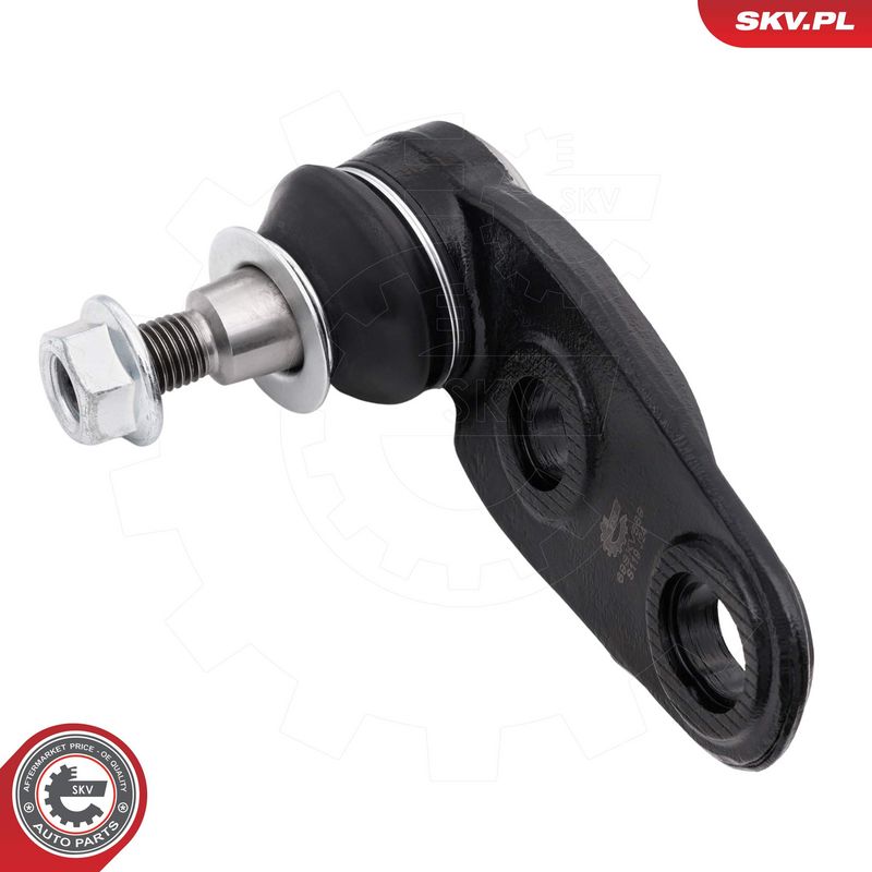 Kande-, juhtliigend, ESEN...