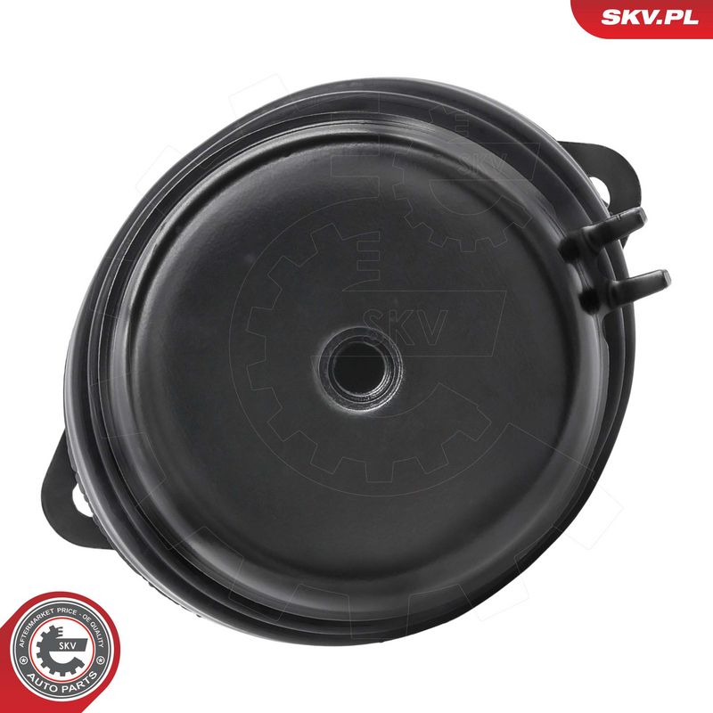 Paigutus, Mootor, ESEN SKV 75SKV010