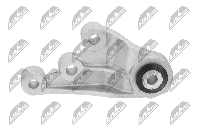 Paigutus, Mootor, NTY ZPS-CH-123