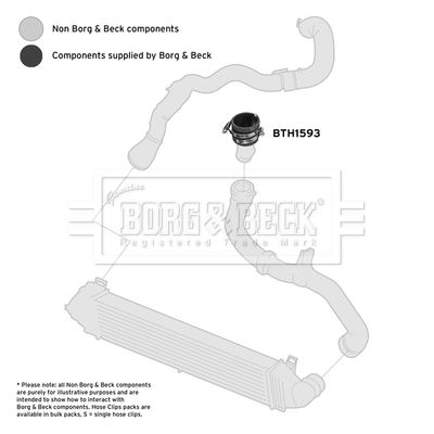 BTH1593_4118566.JPG