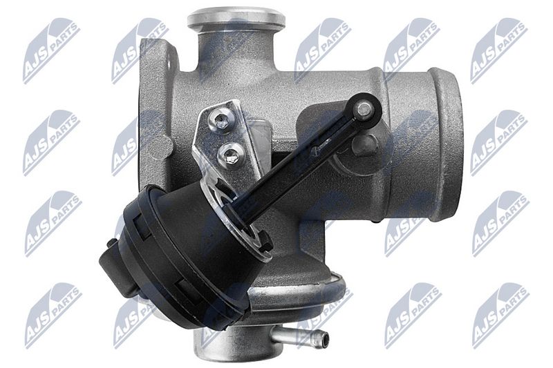 egr-vw-062_4-wm.JPG