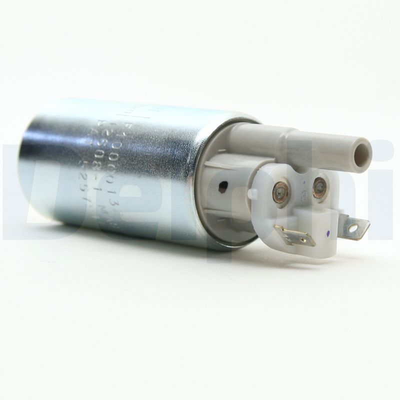 FE0208.JPG