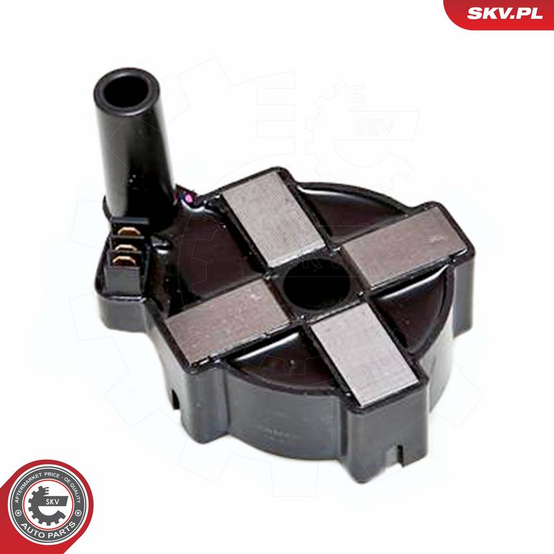 ESEN SKV 03SKV186 Ignition Coil