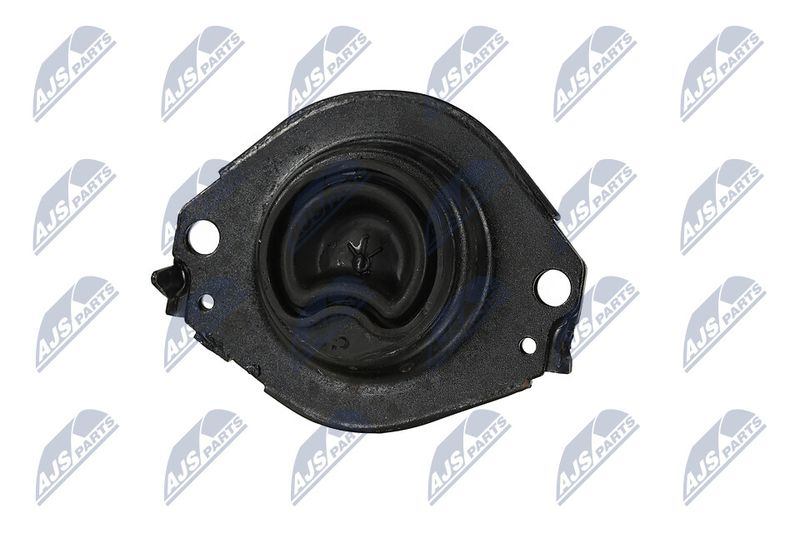 Paigutus, Mootor, NTY ZPS-CH-076