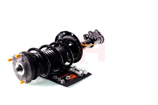 Vedruamort, GH GH-352388C01