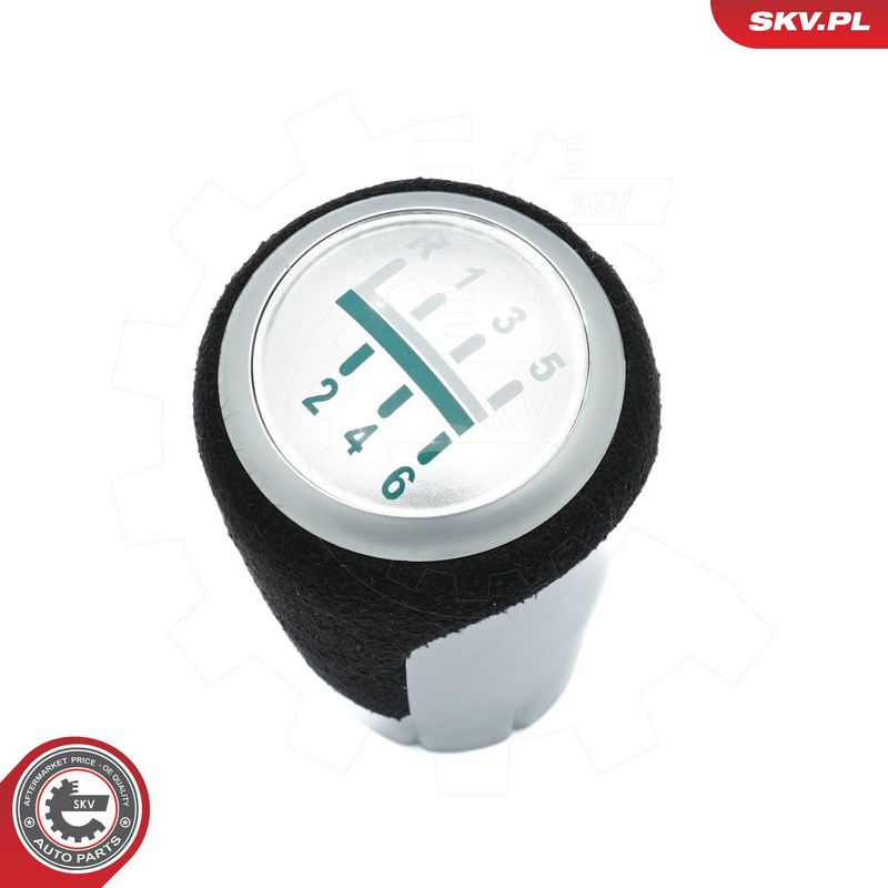 Käigukanginupp, ESEN SKV...