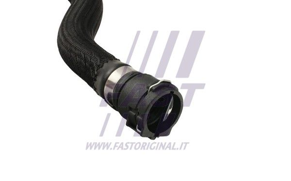 FT61886_3_1.JPG