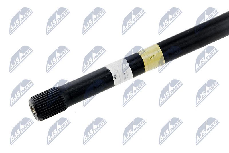 NTY ZWT-CT-015 Torsioninio veleno smeigė / varžtas
