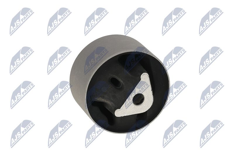 Paigutus, Mootor, NTY ZPS-CH-039