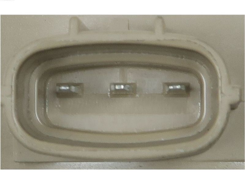 321215.JPG